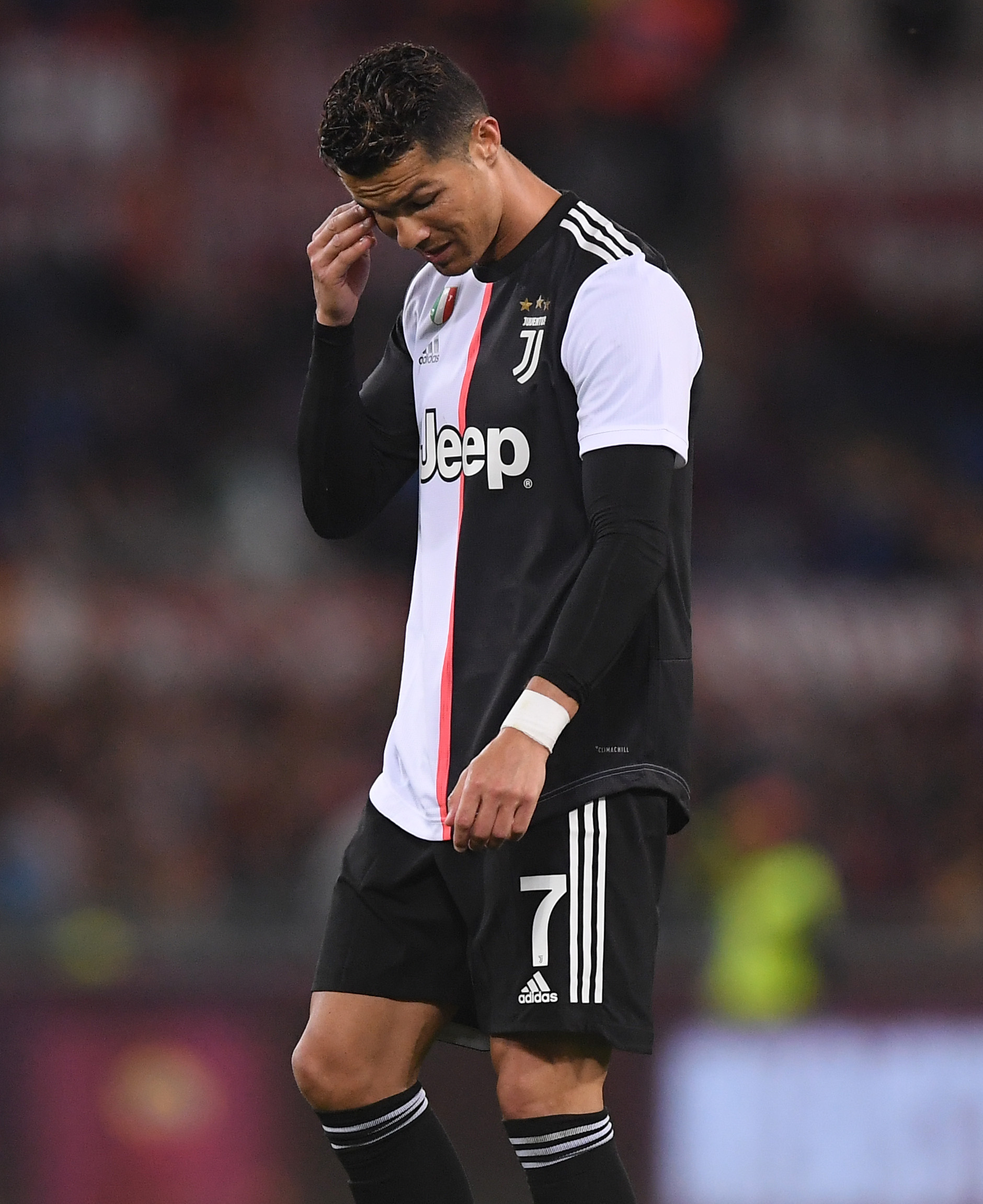 24年业绩 24年业绩